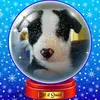 Sherry Brewer Chance - @sherrybrewerchance - TikTok