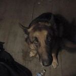 Chance Butler - @chancebutler4029 - Instagram
