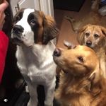 Chance_Cooper_Rambo - @chance_cooper_rambo - Instagram