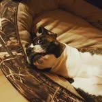 Chance Glover - @tricky_ttry - Instagram
