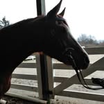 chance hall - @chancehall4412 - Instagram