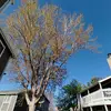 Chance Hicks - @chance.hicks41 - TikTok