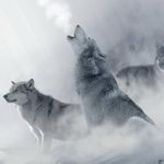 Chance Hicks - @hchance062 - Instagram