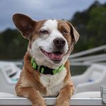 Chance hicks - @chance_hicks_23 - Instagram