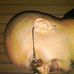 Chance Leach - Facebook