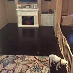 Fat Chance Poker - @chance_morsey - Instagram