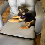Chance Nesbitt - @chancenesbitt - Instagram