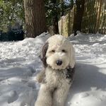 @chance__parker - Instagram