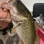 Chance Robert - @chancerushing36 - Instagram