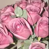 دايكى وليد - @chancesaunders215 - TikTok