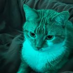 Chance W. - @chance__whiteside - Instagram
