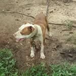 chancey williams - @williams.chancey - Instagram
