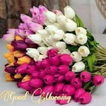Chanchal Chatterjee - @chatterjee6823 - Instagram