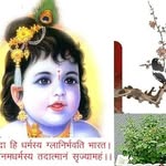 Chanchal Chatterjee - @chanchal.chatterjee.180 - Instagram