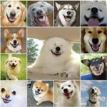 Chanda Chhay - @chanda2012 - Instagram