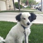 Chanda Davis - @chanda.davis.7374 - Instagram