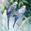 Chanda Miller - @chanda.miller1 - TikTok