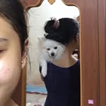 Chenda Pich - @chandapich__ - Instagram