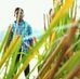 Chandan Paul - Facebook