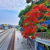 Chandan paul - @user760759818215 - TikTok