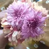 @chandhu reddy - @chandhureddy24 - TikTok
