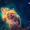 chandler bingham - @chandler.bingham - TikTok