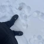 Chandler Brown - Facebook