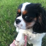 Chandler Bing Harrell - @chandler.bing.harrell - Instagram