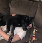 Chandler Stubbs - Facebook