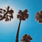 Chandler thomas - @mr.chanspage - Instagram