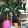 Thomas Chandler - @thomas.chandler - TikTok
