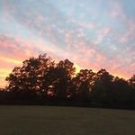 Chandra Allen - @chandramallen - Instagram