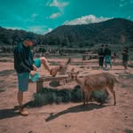Chandra - @chandrabainda - Instagram