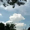 Rajib Chandra Bain - @rajibchandrabain - TikTok