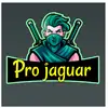 Chandra King - @projaguargaming_1 - TikTok