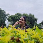 Chandra Sharma - @chandrakaushiksa - Instagram