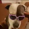 Chandra Smith - @chandra.smith26 - TikTok