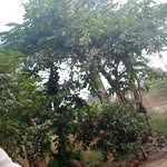 Chandrakant Bagul - @chandrakant.bagul.5851 - Instagram