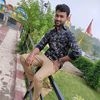 chandrakanta ojha - @chandrakantaojha8 - TikTok