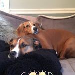 Chanel & Bailey - @chanelndbailey - Instagram