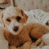 chanel_girlie - @chanelbailey4 - TikTok