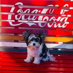 Chanel Bowen - Facebook