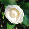 chanelchen19 - @chanelchen19 - TikTok