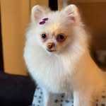 Chanel 🎀 - @chanelherrera__ - Instagram