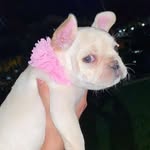 Chanel Herrera - @keeping_up_with_chanel_ - Instagram