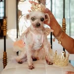 Taken over by Chanel Herrera - @avaherrera - Instagram