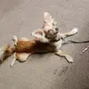 Chanel Hunter - @chanel.hunter0 - TikTok