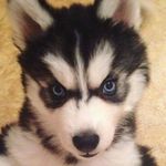 chanel Hunter ИВ - @sportagkamri483 - Instagram