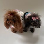 Chanel & Petty - @chanelpettyqueens - Instagram