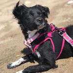 Chanel - @chanel.rubioo - Instagram